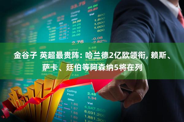 金谷子 英超最贵阵: 哈兰德2亿欧领衔, 赖斯、萨卡、廷伯等阿森纳5将在列